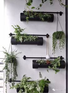 阳台不晾衣服，那就尽情养花吧 1.29平米花盆栽培植物指南